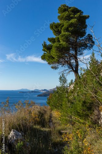 Wallpaper Mural View of the Adriatic coast. Dalmatia Region. Croatia Torontodigital.ca