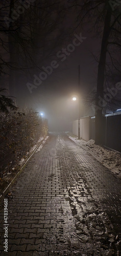 Fototapeta Naklejka Na Ścianę i Meble -  Street and lanterns during a foggy and rainy night in the city of Lodz.