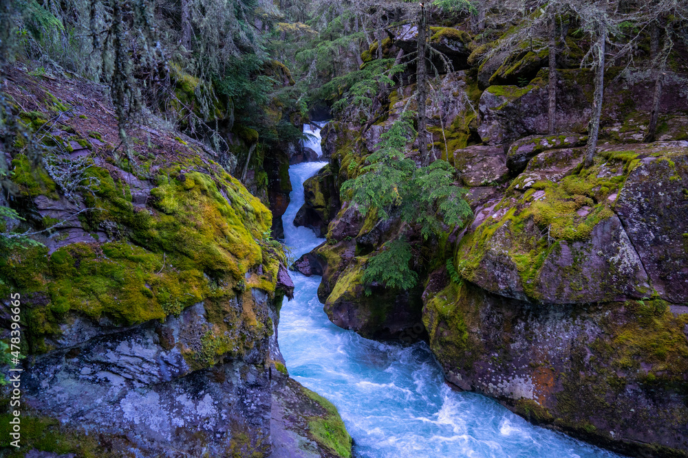 Blue waters of Avalanche Creek along the Avalanche Lake trail in Glacier National Park Blue waters of Avalanche Creek along the Avalanche Lake trail in Glacier National Park