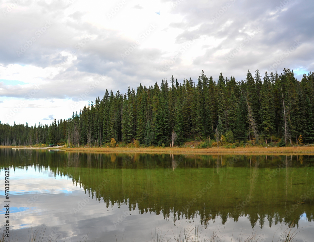 Across the lime green lake of Goldeye campground near Nordegg, Alberta, Canada creates reflection of the pine trees