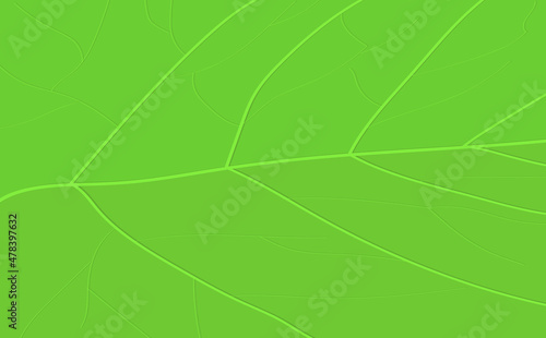 leaf texture in light green tone