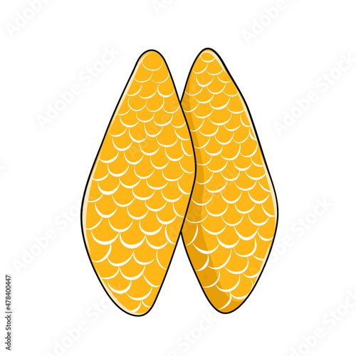 Human thymus gland in cartoon style for medical design