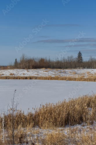 Pylypow Wetlands after a Snowfall