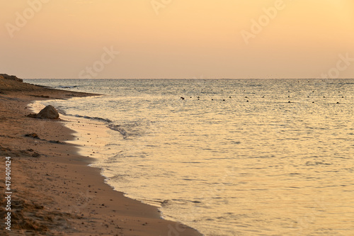 Wallpaper Mural Waves on the tropical sandy beach of the red sea. Torontodigital.ca