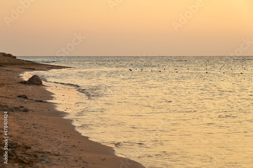 Waves on the tropical sandy beach of the red sea.