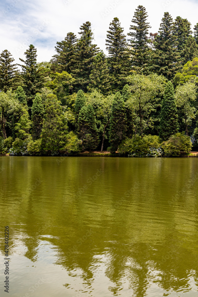 Obraz premium Lago Negro lake trees and flowers
