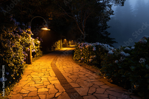 Walkpath with ilumination in Lago Negro lake at night photo