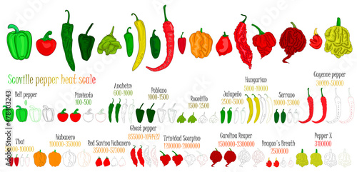Scoville pepper heat scale. Pepper illustration from sweetest to very hot. Color and outlines peppers. photo