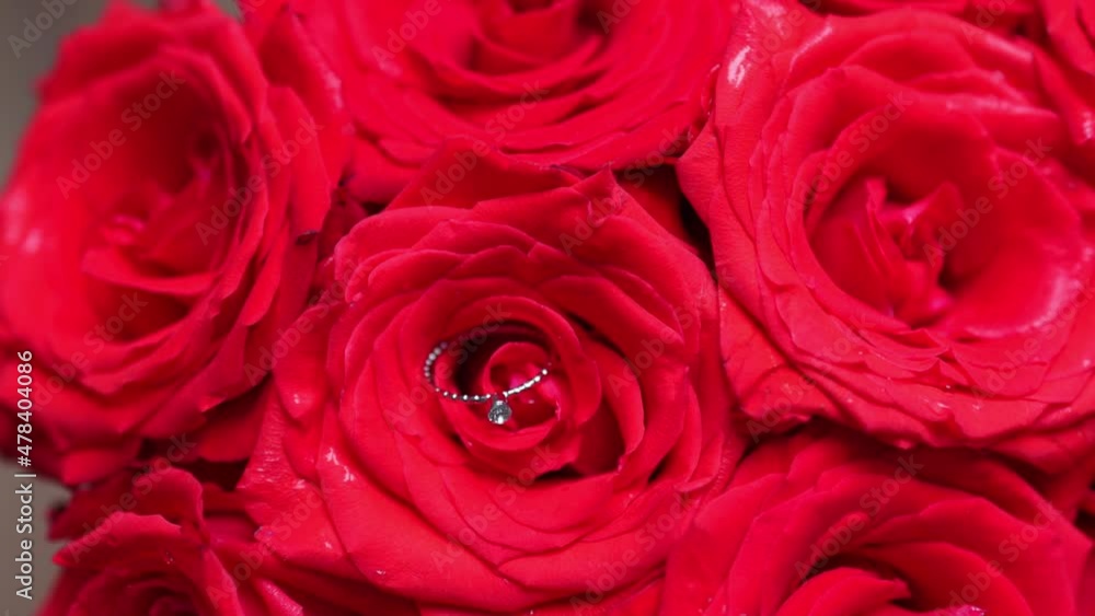engagement ring inside in red bright roses buds bouquet, close-up view. love gift proposal Valentine's Day. concept of affiance marry me. feelings relationships couple. silver ring surprise present engagement ring inside in red bright roses buds bouquet, close-up view. love gift proposal Valentine's Day. concept of affiance marry me. feelings relationships couple. silver ring surprise present
