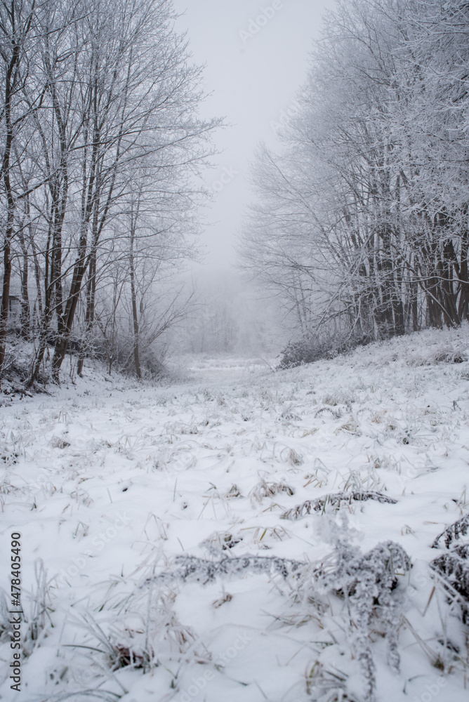 Obraz premium Winter zima