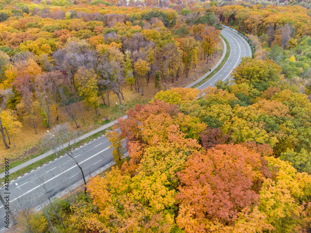 Fly above driveway street in autumn city park. Aerial on scenic empty road in autumnal yellow forest. Treetop view on Kharkiv, Ukraine