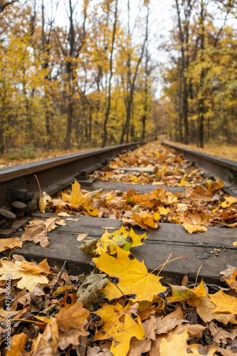 Railway track line close-up in bright yellow leaves in autumn forest. Colorful Children's Southern Railway in Kharkiv, travel Ukraine. Vertical