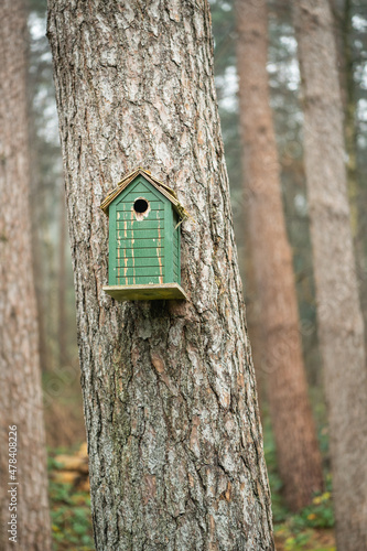 Fototapeta Naklejka Na Ścianę i Meble -  A bird house in a tree