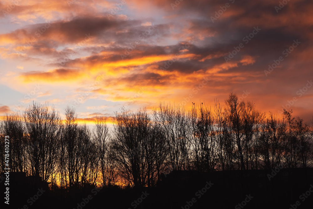 Silhouette of a trees in a park and stunning sunrise cloudy sky with rich, saturated colors. Warm orange and cool blue tone. Silhouette of a trees in a park and stunning sunrise cloudy sky with rich, saturated colors. Warm orange and cool blue tone.