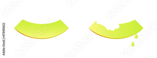 Vector melon. Premium quality vector graphics for your business.