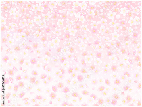 さくらの背景①一面_背景ピンク