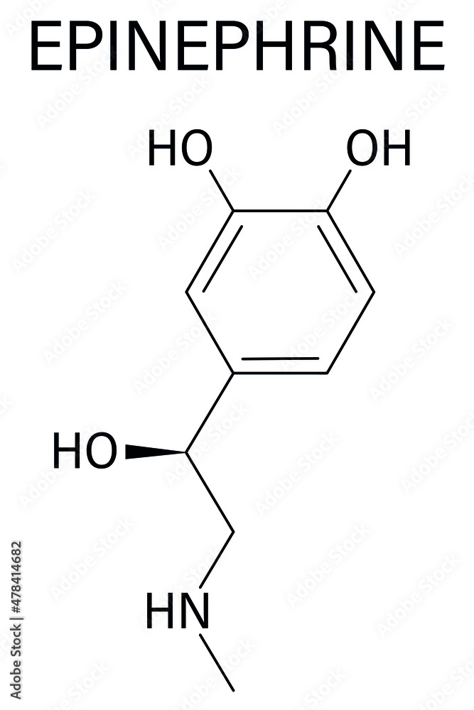 Adrenaline or adrenalin, epinephrine neurotransmitter molecule. Used as drug in treatment of anaphylaxis. Skeletal formula. Adrenaline or adrenalin, epinephrine neurotransmitter molecule. Used as drug in treatment of anaphylaxis. Skeletal formula.