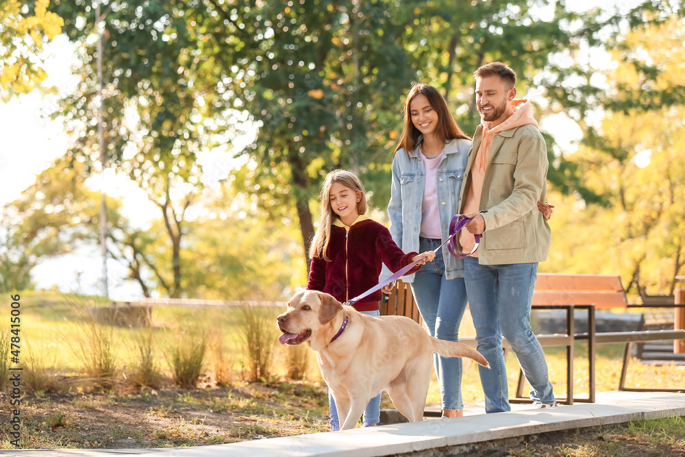 Happy family with Labrador dog walking in park Happy family with Labrador dog walking in park