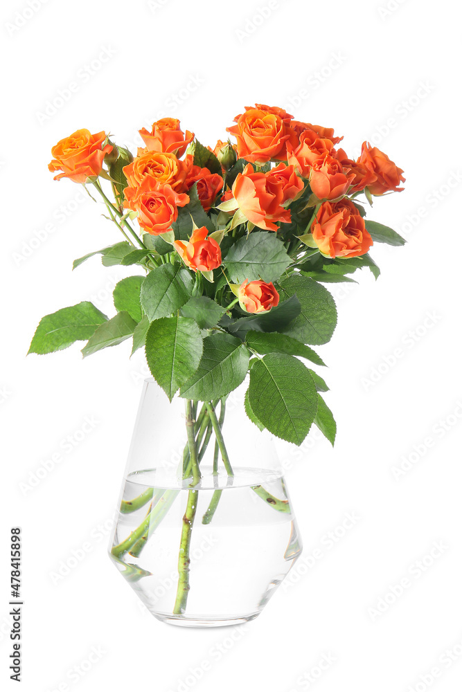 Obraz premium Vase with beautiful orange roses on white background