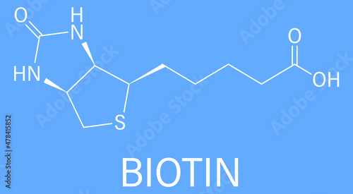 Biotin or vitamin B7 molecule. Skeletal formula.