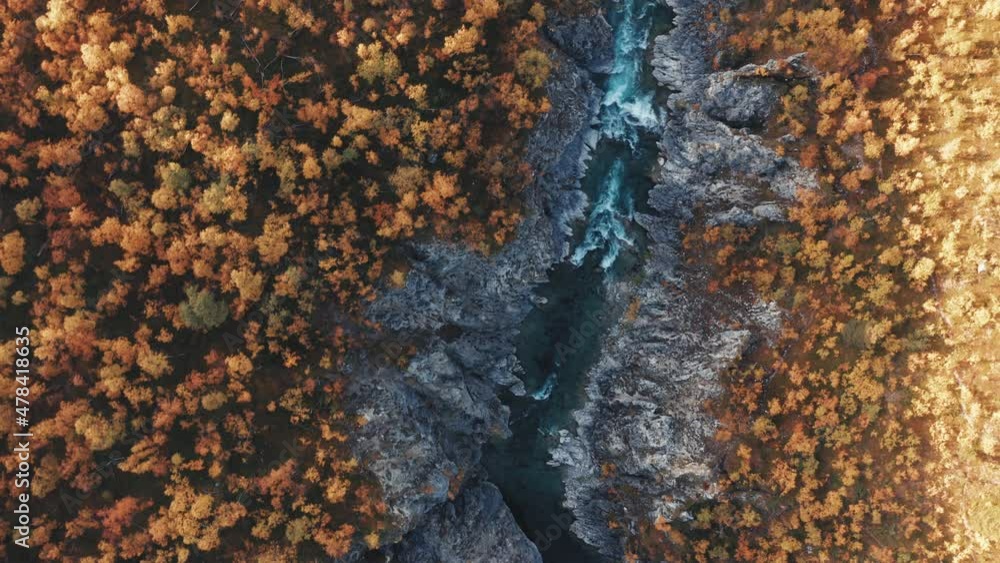 Bird's eye view of the Silfar canyon in Norway. Wild river rushing through the deep gorge, dense autumn forest on the vast plateau. Bird's eye view of the Silfar canyon in Norway. Wild river rushing through the deep gorge, dense autumn forest on the vast plateau.