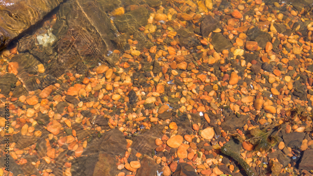 Obraz premium crystal clear water of the Paraná river