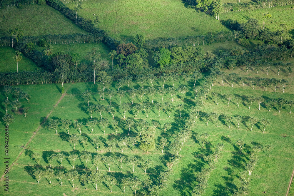 Agriculture in Rural Costa Rica
