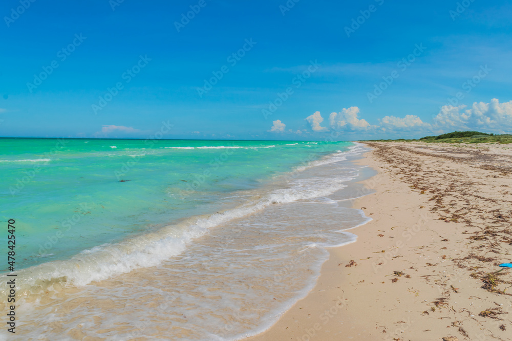 Beautiful turquoise beach landscape background in Mexico