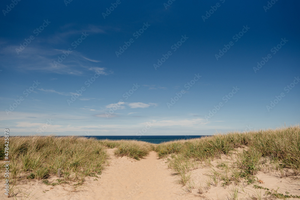 sand dunes on the beach sand dunes on the beach