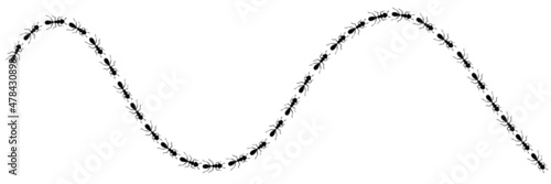 Worker ants trail curve. Ant path isolated in white background. Vector illustration