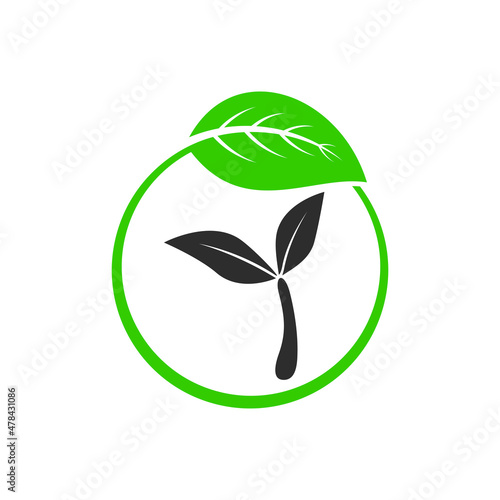 leaf logo vector with round
