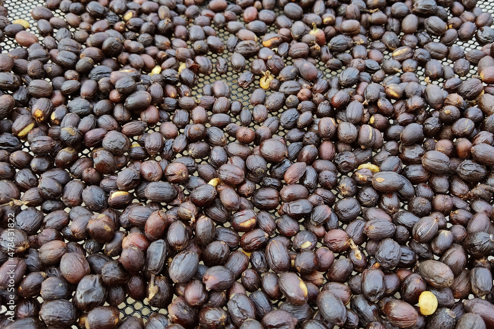 Close up of coffee beans for background Close up of coffee beans for background