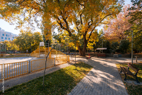 Bucharest, Romania 2021: Parks of Bucharest. Nicolaie Iorga Park landmark photographed during a beautiful day of autumn. photo