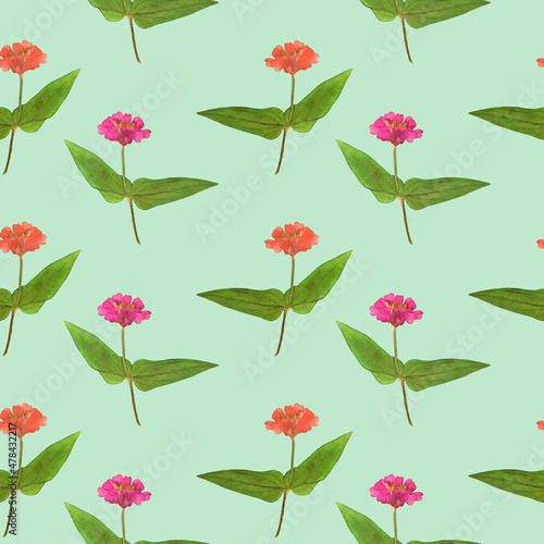 Zinnia. Illustration  texture of flowers. Seamless pattern for continuous replication. Floral background  photo collage for textile  cotton fabric. For use in wallpaper  covers.