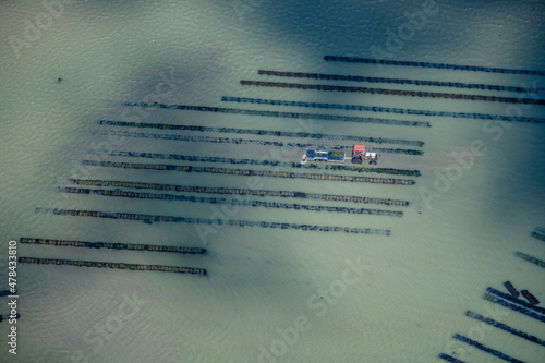 Aquaculture Saint-Vaast-la-Hougue Normandy France photo