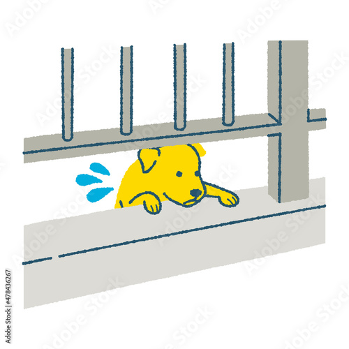 落ちそうになっている犬