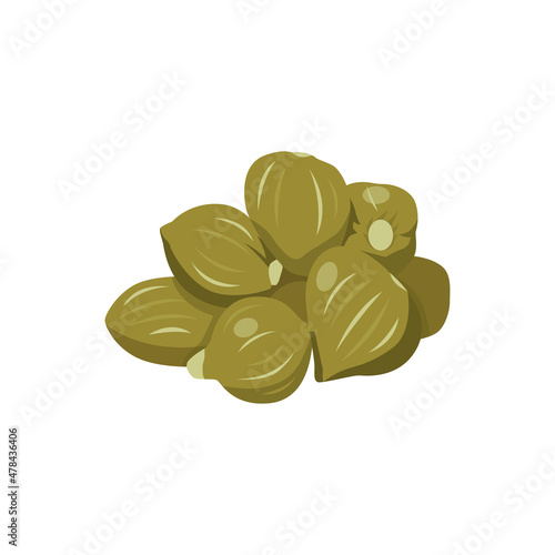 Flat vector of Capers isolated on white background. Flat illustration graphic icon