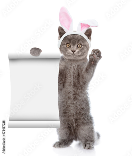 Funny kitten wearing Easter rabbits ears shows empty list. Isolated on white background