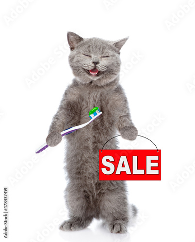 Happy cat with towel on it head holds toothbrush with toothpaste and shows sales symbol. isolated on white background