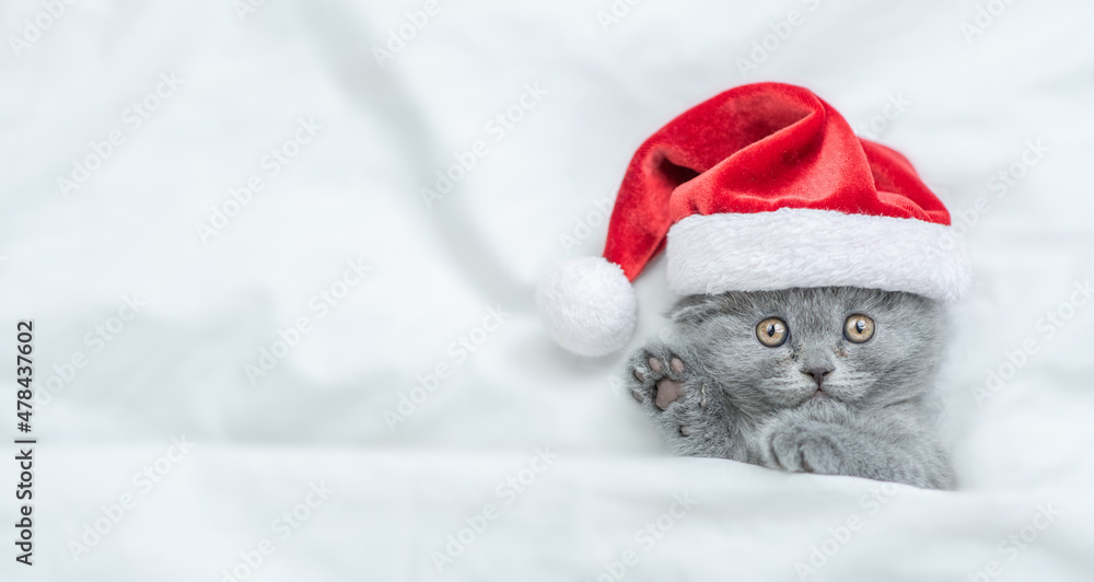 Funny kitten wearing red santa's hat sleeps under a white blanket on a bed. Top down view. Empty space for text Funny kitten wearing red santa's hat sleeps under a white blanket on a bed. Top down view. Empty space for text