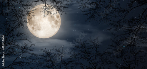 Fotografie, Obraz full moon in the sky