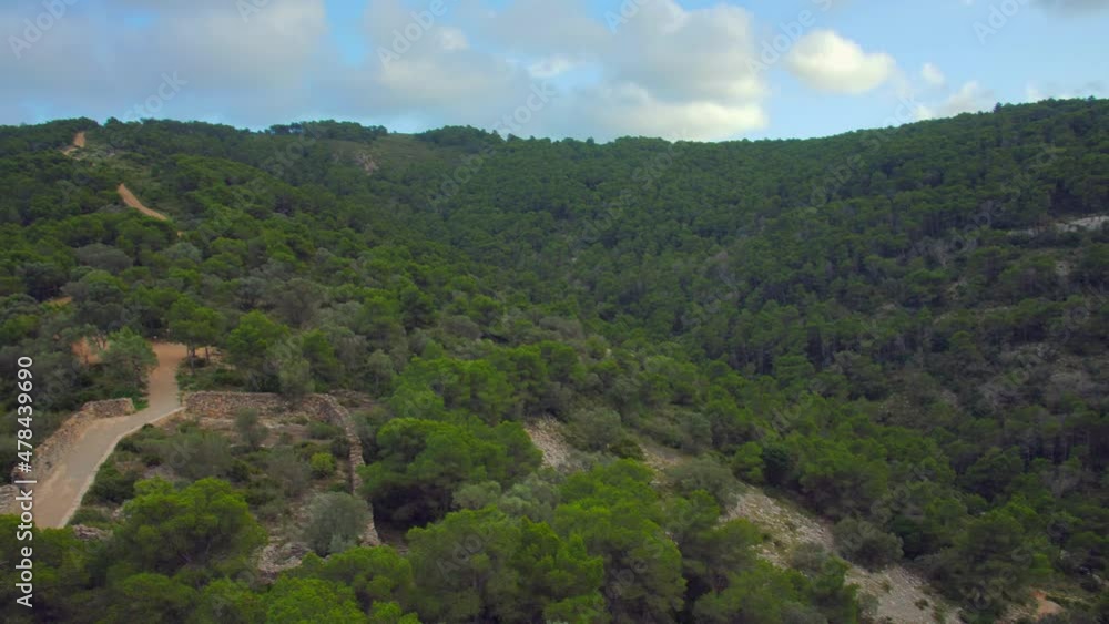 Picturesque overview of a hiking path in the pine forest over the hilly terrain on a cloudy day. 4K video. Picturesque overview of a hiking path in the pine forest over the hilly terrain on a cloudy day. 4K video.