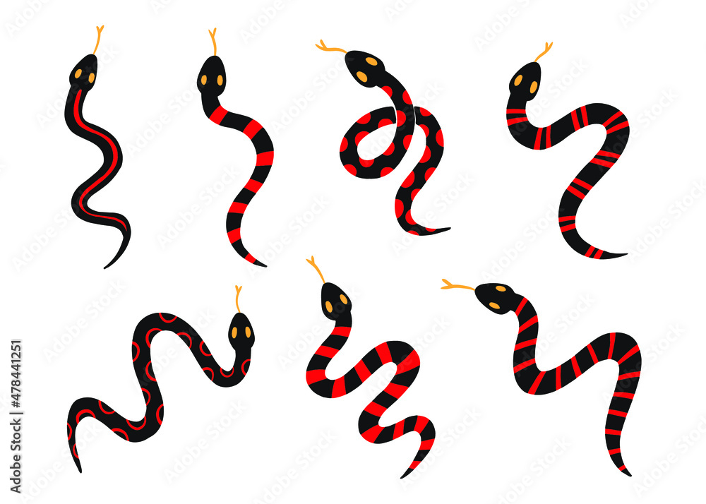 Coral snake doodle vector set. Graphic Clipart Design Collection Coral snake doodle vector set. Graphic Clipart Design Collection