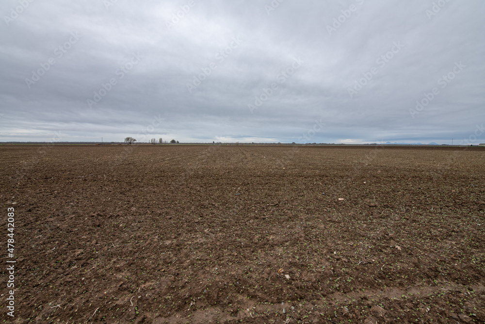 Dirt field on a rainy day