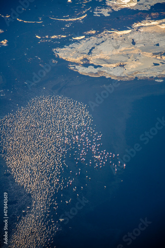 Flamingos at Lake Natron Tanzania