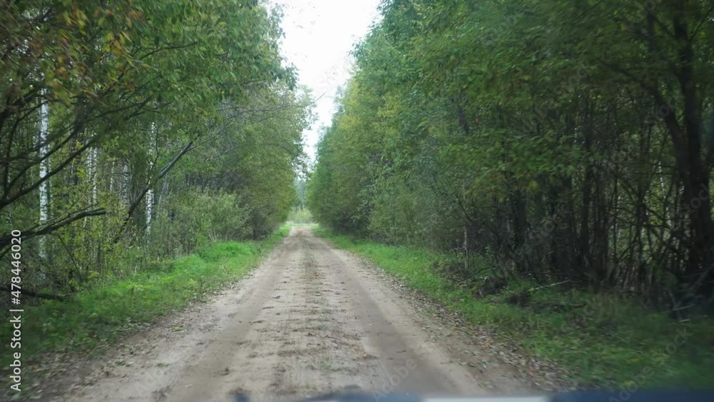 a dirt road in the forest. view from the car. the camera wobbles when passing the next bumps a dirt road in the forest. view from the car. the camera wobbles when passing the next bumps