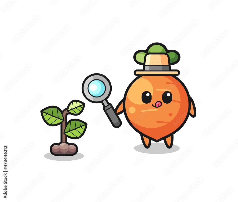 Fototapeta premium cute carrot herbalist researching a plants