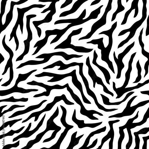 black and white zebra background