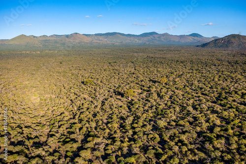 Scrubland Desert North-East Kilimandjaro Kenya