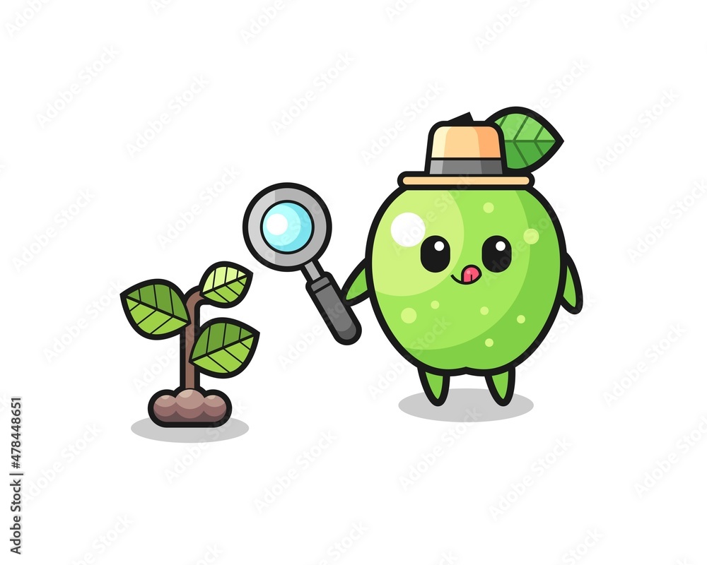 cute green apple herbalist researching a plants cute green apple herbalist researching a plants